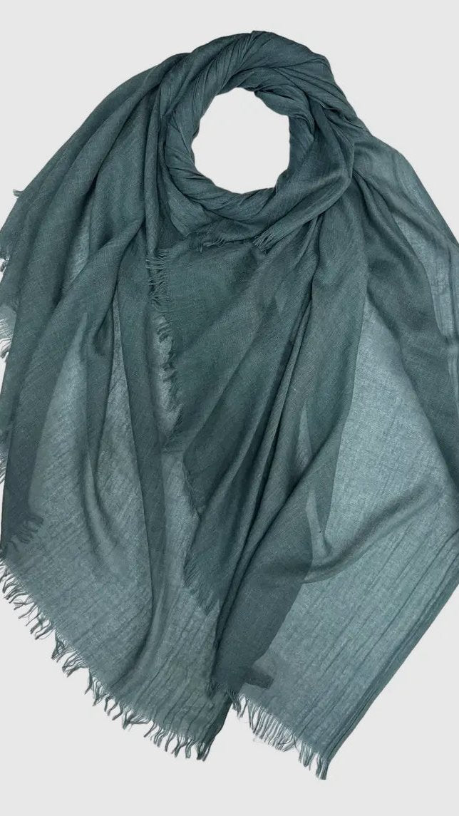 London Scarves Solid Fringe Lightweight Scarf - Multiple Colors