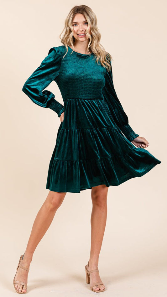 The Moment Collection Velvet Smocked Mini Dress