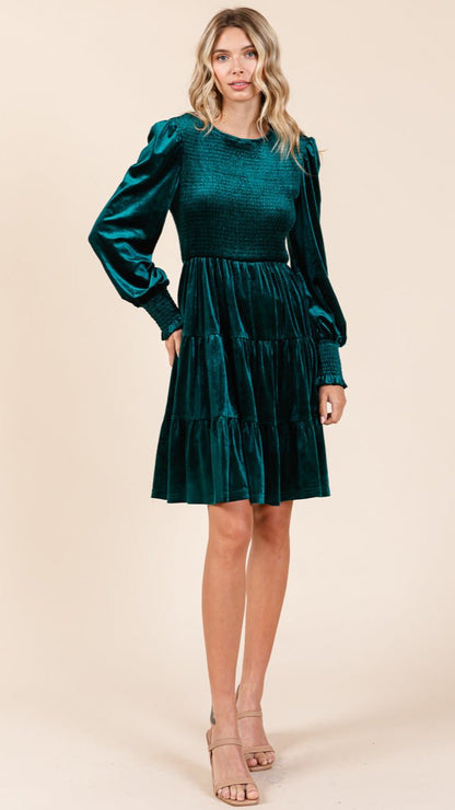 The Moment Collection Velvet Smocked Mini Dress