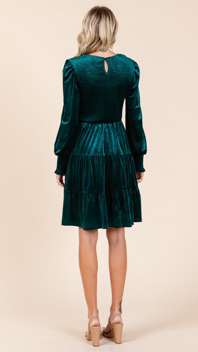 The Moment Collection Velvet Smocked Mini Dress