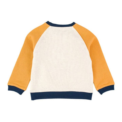 RuffleButts Color Block Raglan Sweatshirt